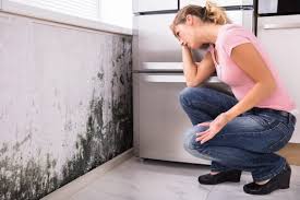 Best Mold Removal for HVAC Installations  in Deer Park, IL